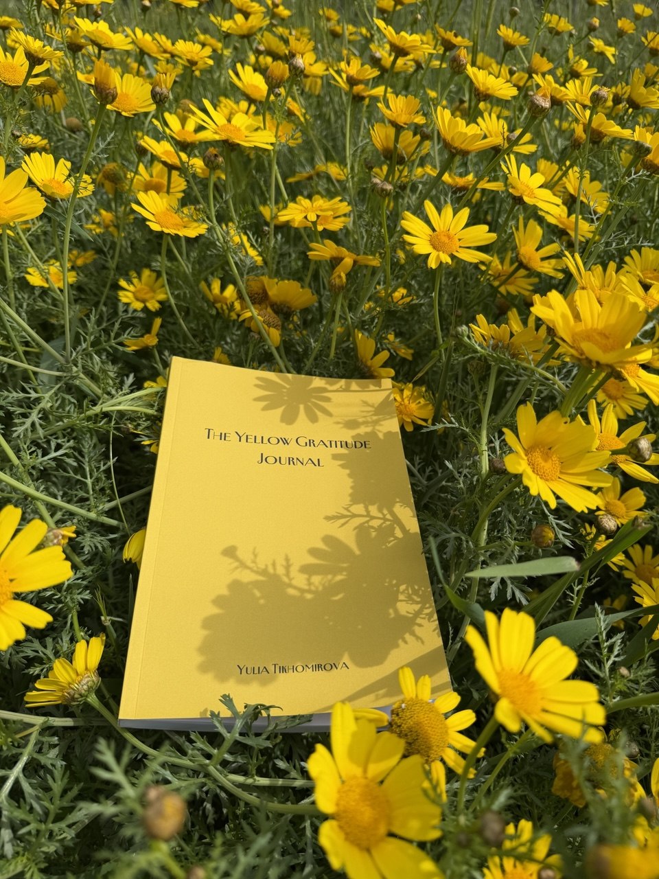 The Yellow Gratitude Journal